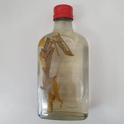 Водна настоянка на листі омели 200 мл - фото 2