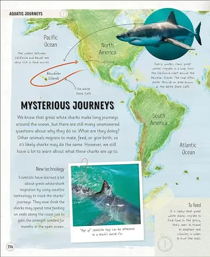 Amazing Animal Journeys - фото 4