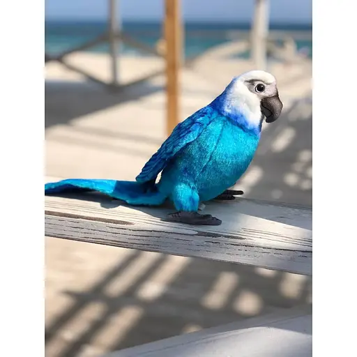 М'яка іграшка Hansa Ара Спікс 27 см (6790) - фото 3