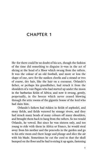 Orlando - фото 3