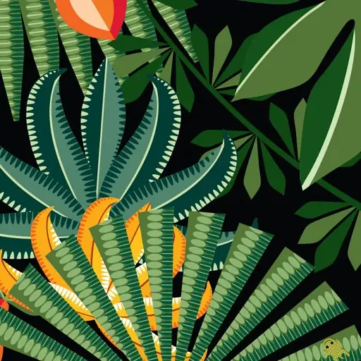 Команда джунглів - фото 3