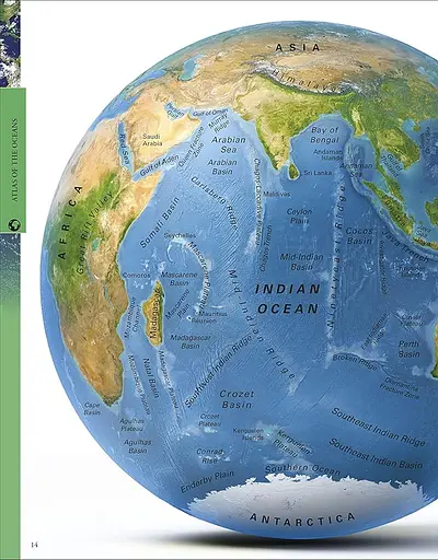 Ocean. A Children's Encyclopedia - фото 2