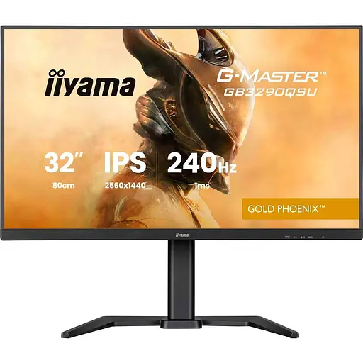 Монитор 31.5" Iiyama GB3290QSU-B1 QHD IPS 240Hz (GB3290QSU-B1) - фото 1