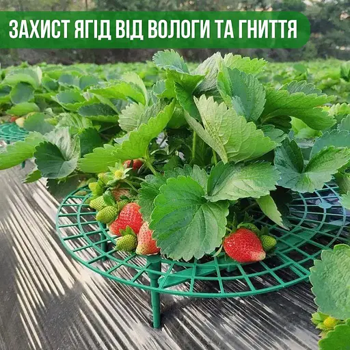 Підставка під полуницю| тримач для кущотримача (комплект 5 шт.) - фото 3