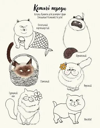 Котюрморт - фото 3