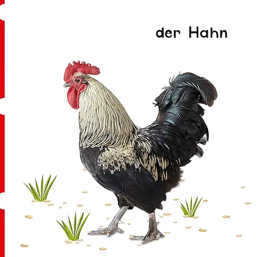 Erste Reime-erste Bilder. Tiere auf dem Bauernhof - фото 3