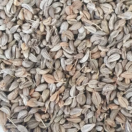 100 г петрушка кудрявая семена - свежий урожай