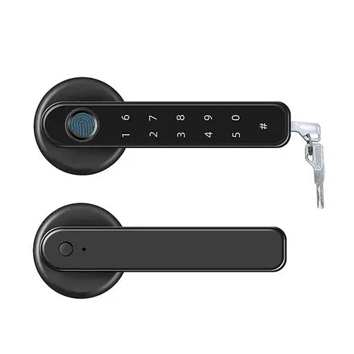 Биометрический умный кодовый смарт замок на межкомнатную дверь Badodo Security 196 (100998)