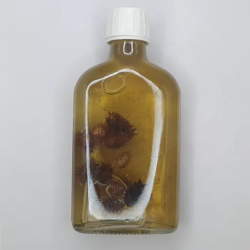 Настойка на шишках дурнышника 200 мл - фото 2