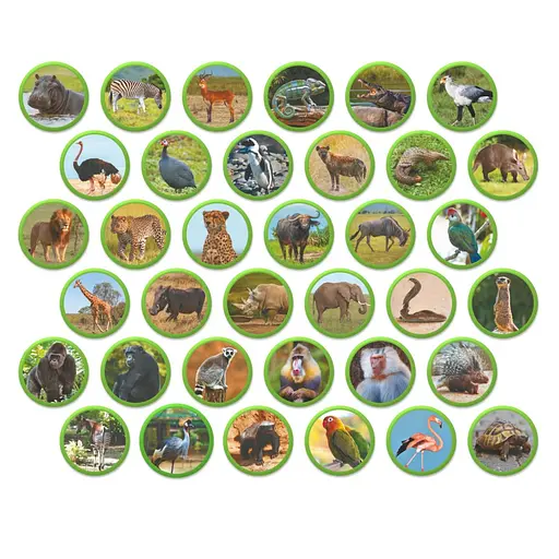 Детский магнитный набор Монтессори "Животные на континентах: Африка" DoDo Toys 200284, 36 элементов - фото 2