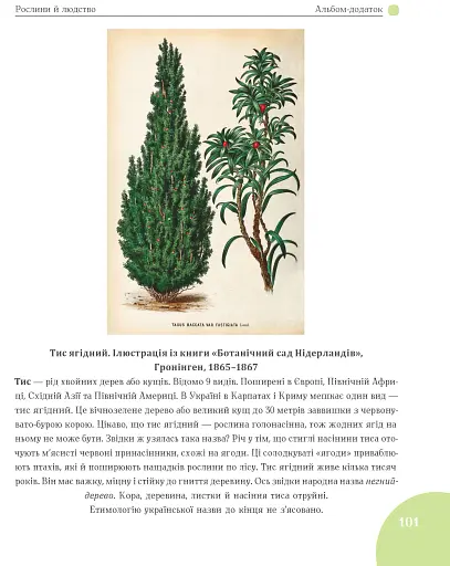 Зелений вінок планети. Рослини й людство - фото 10