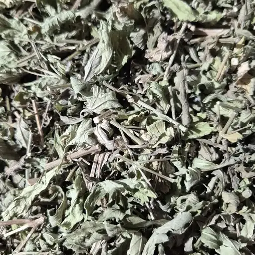 100 г вербена лікарська трава сушена - свіжий урожай