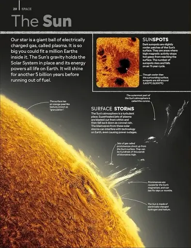 Eyewitness Encyclopedia of Everything - фото 2