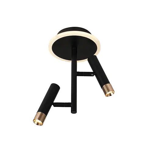 Стельовий світлодіодний світильник G 2917/2 16W Чорний+Золото