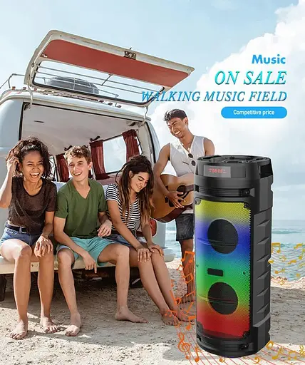 Портативная акустическая система Winso ZQS6210W-6.5"x2 с RGB 30W с караоке микрофоном и пультом - фото 4