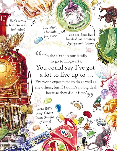 Pocket Potters: Ron Weasley - Ролінґ Джоан - фото 3