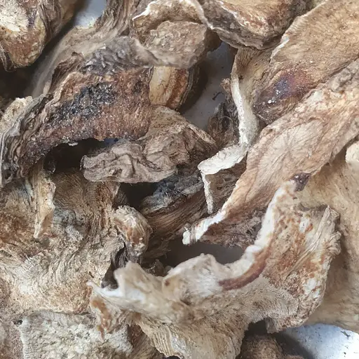 100 г дягиль лекарственный/дудник/ангелика корень сушеный- свежий урожай