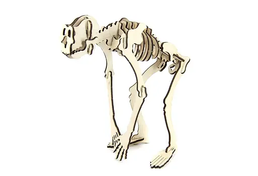 Дерев'яний конструктор "Гігантопітек" 29 деталей - фото 1