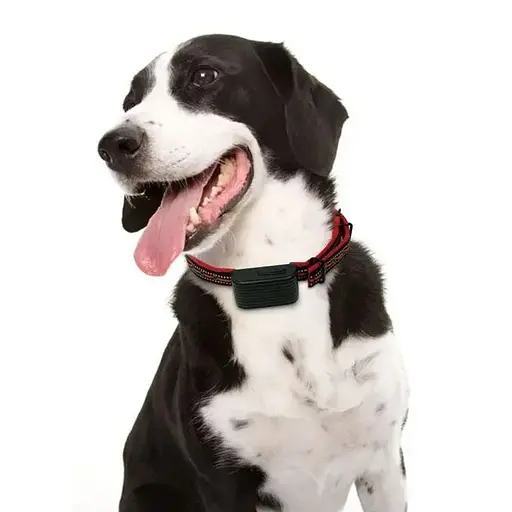 Електронний ошийник для собаки Dobe DB 500 для дресирування + антилай 2 в 1 помаранчевий ремінець - фото 6