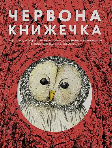 Червона книжечка Основи