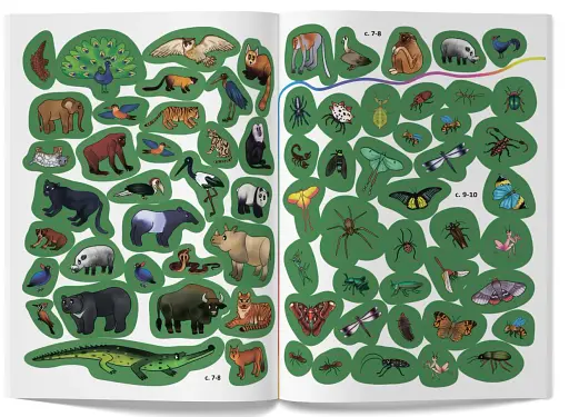 Меганаліпки. У джунглях - фото 7