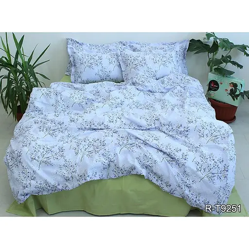 Комплект постільної білизни TAG Tekstil з компаньйоном 2-спальний 000210739 (R-T9251)
