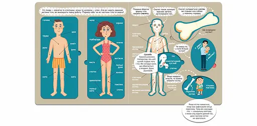 Книга Я пізнаю світ. Твоє дивовижне тіло. Книжка з віконцями. Автор - Галина Дерипаско (Школа) - фото 3