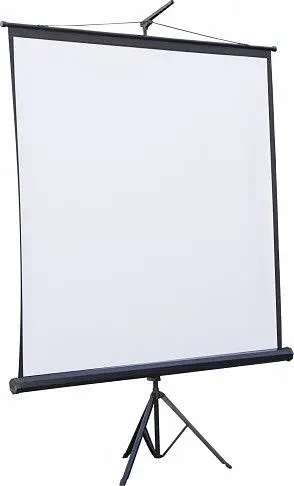 Проекційний екран Atria 119" (213x213, 1:1) (ECO TRM-AV-84) - фото 1