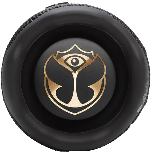 Портативная акустика JBL Flip 7 Tomorrowland (JBLFLIP7TML) - фото 3