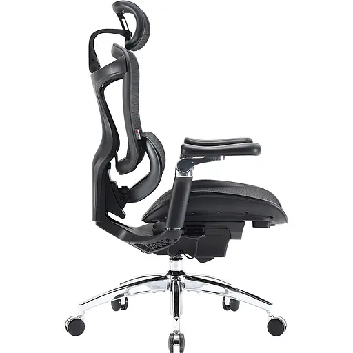 Крісло офісне Sihoo Doro C300 Pro Mesh Black (DORO-C300-PRO-M101) - фото 5