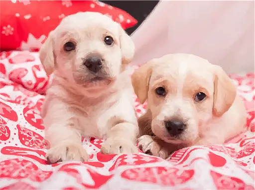 Полотно на картоне с контуром Rosa Start Милые щенки 30х40 хлопок акрил - фото 2