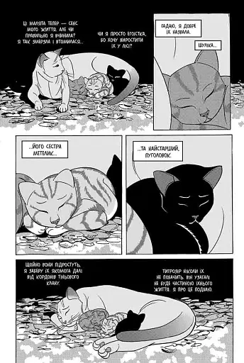 Коти - вояки. Манґа 7. Тигрозір і Саша. Повернення до Кланів - фото 5