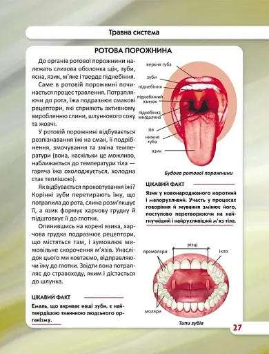 Світ навколо нас. Тіло людини - фото 6