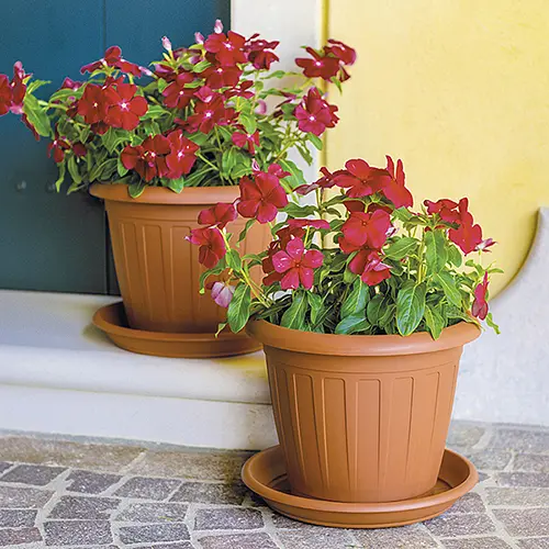 Поддон пластиковый Linea Mediterraneo, 30 см круглый, терракот (83300) - фото 4