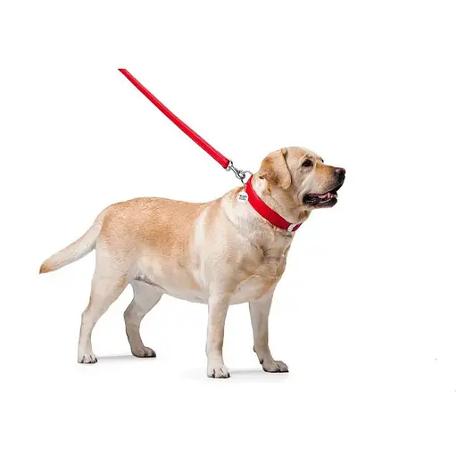 Повідець для собак Waudog Glamour шкіряний, червоний - фото 3