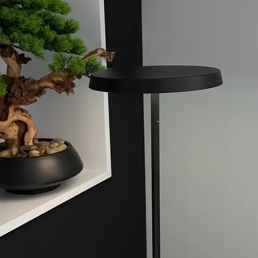 Торшер Skarlat RLL8122 24W BK 4000K - фото 5