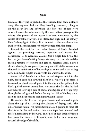 The Lewis Man. Book 2 - фото 3