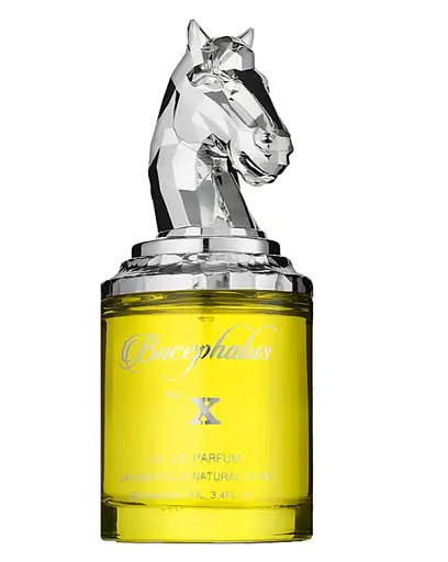 Оригінал Armaf Bucephalus No. X 100 мл парфумована вода - фото 1