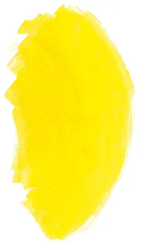 Масляная краска Rive gauche 40 мл, Кадмий желтый светлый оттенок (Cadmium Yellow Light Hue) - фото 4