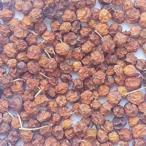 100 г горобина червоноплідна плоди сушені - свіжий урожай