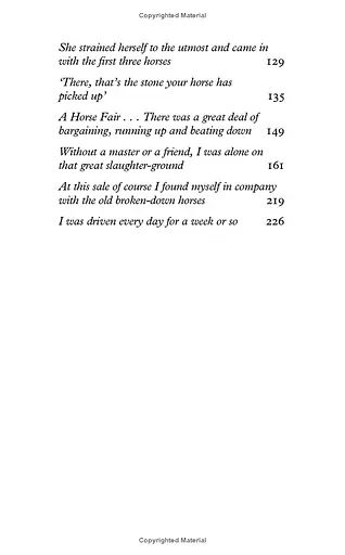 Black Beauty - фото 7