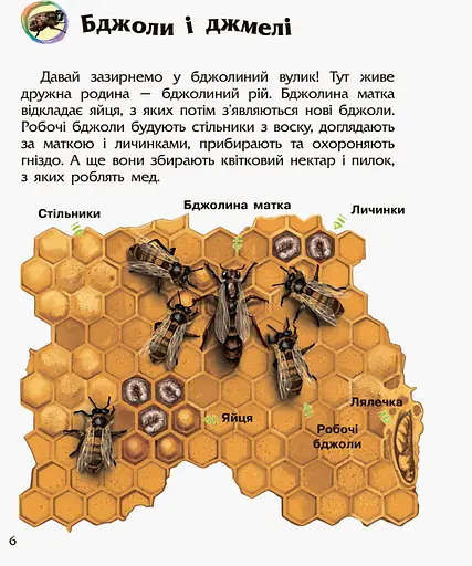 Детская энциклопедия про насекомых 614014 для дошкольников - фото 3