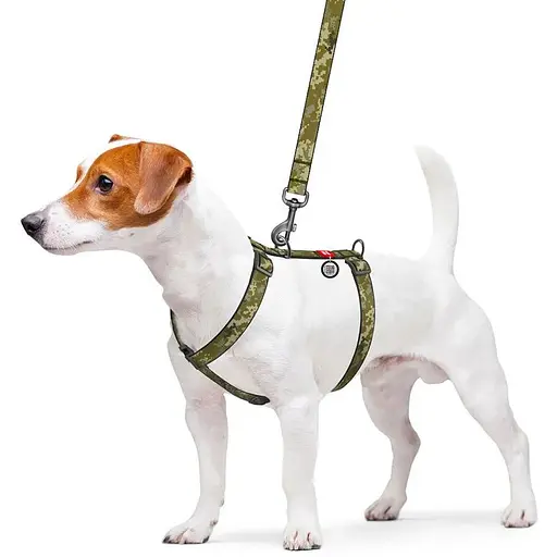 Шлея для собак Waudog Nylon анатомічна H-подібна з QR-паспортом, малюнок "Мілітарі", пластиковий фастекс, М - фото 3