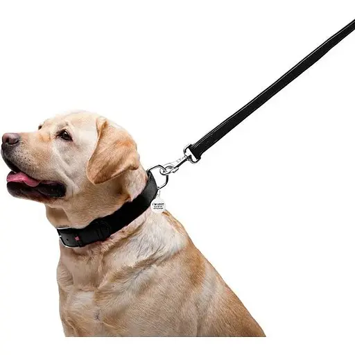 Повідець для собак Waudog Glamour шкіряний, чорний - фото 5