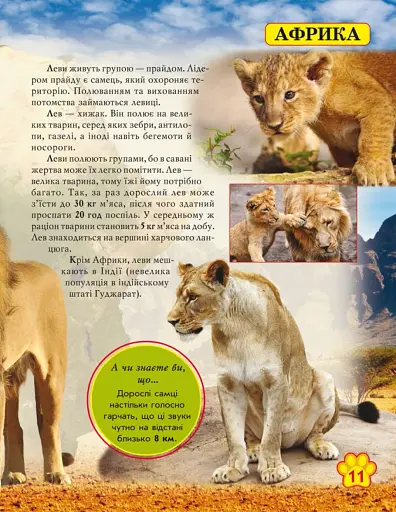 Світ навколо нас. Дикі тварини - фото 2