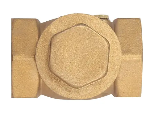 Зворотний клапан пелюстковий Thermo Alliance Standart 1" ВВ (низького тиску) SD242W25 - фото 2