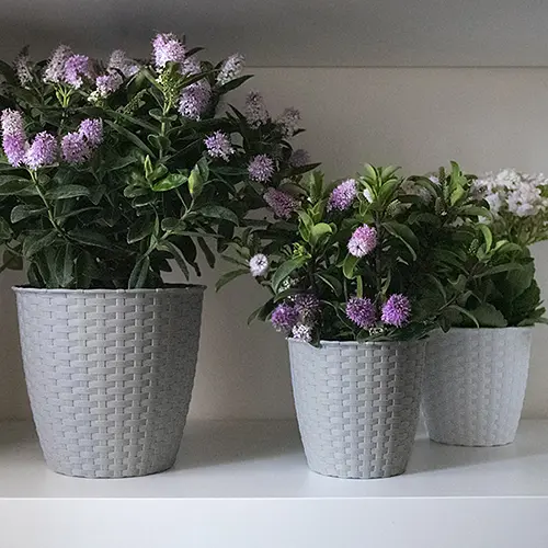 Вазон круглый NATURAL, 12,5 л, 29 см (73846) - фото 2