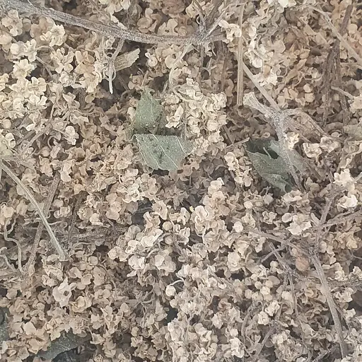 100 г бузина цвет сушеный - свежий урожай