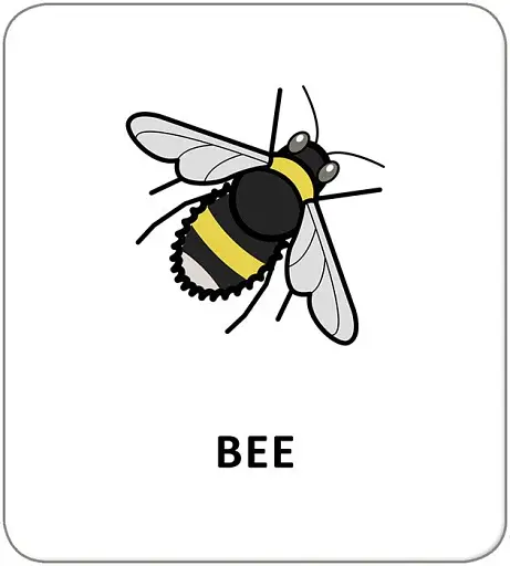 Картки з піктограмами. Тварини - фото 3