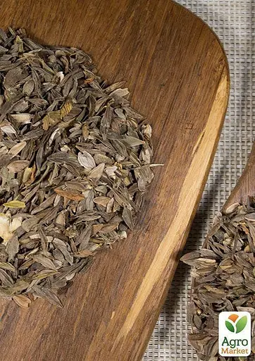 Циния "Пламя" Весна 3г (13274) - фото 3